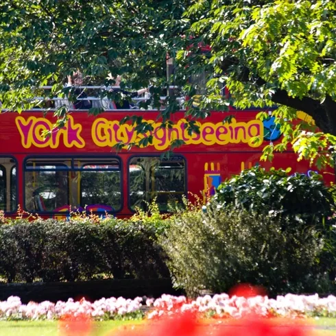Hop-on Hop-off Sightseeing Tour