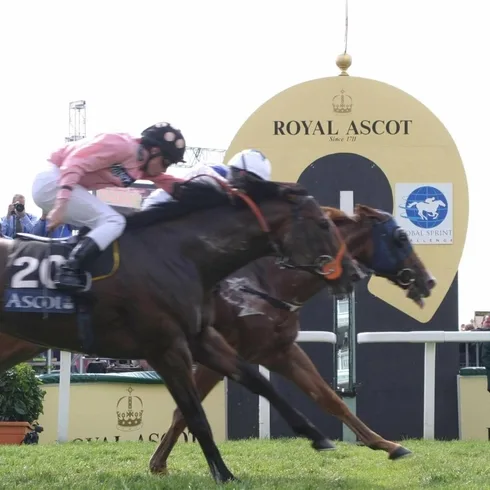 York Racecourse